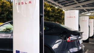 Vendas globais da Tesla caem 13,5% no segundo trimestre
