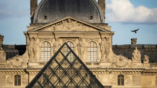 Museu do Louvre est&aacute; 'no limite', alerta novo presidente