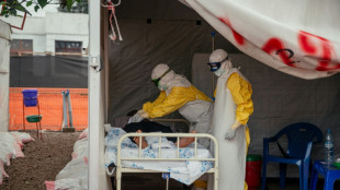 Ebola: pr&egrave;s de 500 cas confirm&eacute;s en Afrique centrale, selon l'OMS