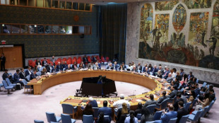 Indignaci&oacute;n tras veto de EEUU en la ONU a resoluci&oacute;n a favor del alto el fuego en Gaza