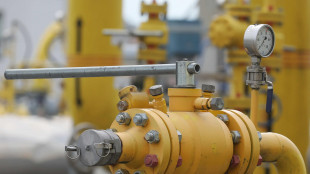 Il gas parte in calo (-3,8%) a 30,8 euro al Megawattora