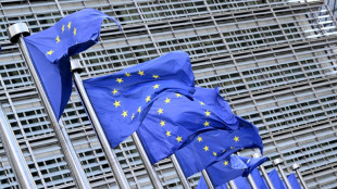 Moment de clarification sur le climat entre leaders de l'UE à Bruxelles