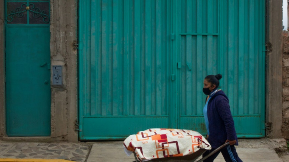 Unemployment, pay gap, instability the pandemic legacy for Peru's women