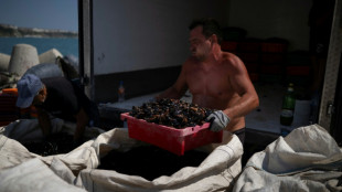 Face au climat qui change, la moule bulgare veut croire en sa chance