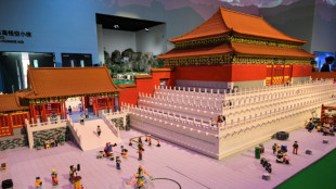 Lego posts record sales, sees market share growing further: CEO