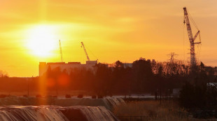 La oficina del primer ministro japon&eacute;s aceptar&aacute; tierra de las proximidades de Fukushima