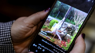 Israel PM vows 'harsh action' against soldier vandalising Jesus statue in Lebanon