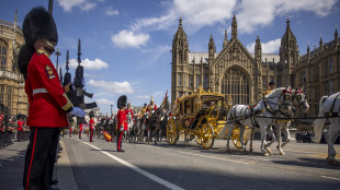 Parigi -2: una mostra a Londra in ricordo atleti ucraini morti