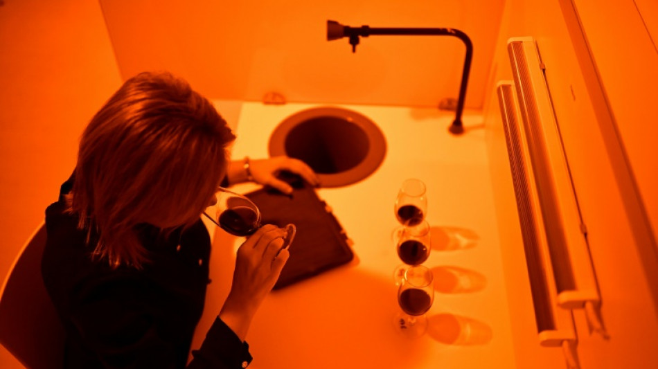 Dans le Bordelais, les grands ch&acirc;teaux &agrave; la recherche du vin du futur