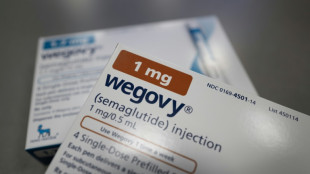 Ozempic maker Novo Nordisk posts strong results but competition weighs