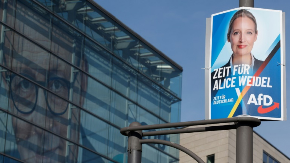 Allemagne : l'AfD contre-attaque après son classement comme parti "extrémiste"