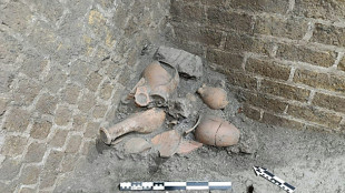 Novas evidências sugerem que Pompeia foi reocupada após erupção do Vesúvio