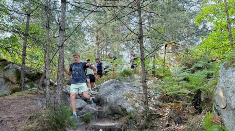 En forêt de Fontainebleau, le sentier des 25 bosses "victime de son succès"