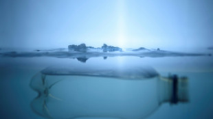 UN-Ozeankonferenz in Nizza berät über besseren Schutz der Weltmeere