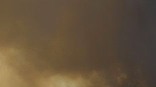 Incendi in Spagna, 63.000 le persone evacuate nella regione di Madrid
