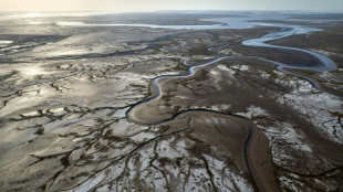 El delta del río Colorado en México vuelve lentamente a la vida 