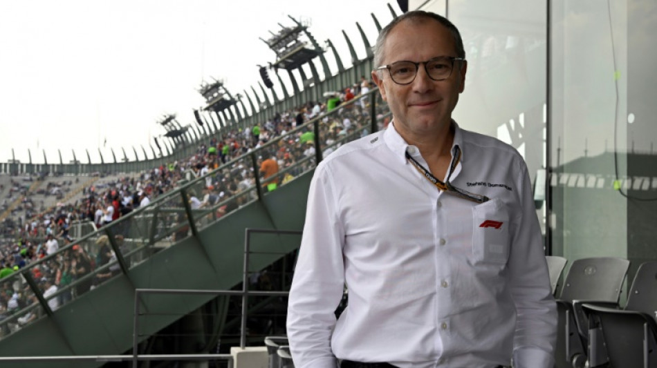 Domenicali defends Formula One races in World Cup hosts Qatar