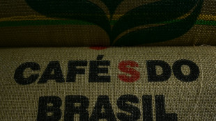 EEUU elimina los elevados aranceles a muchos productos agrícolas de Brasil