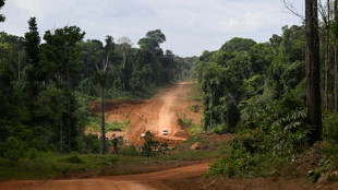 Guyana: une route au milieu de nulle part pour d&eacute;velopper le pays