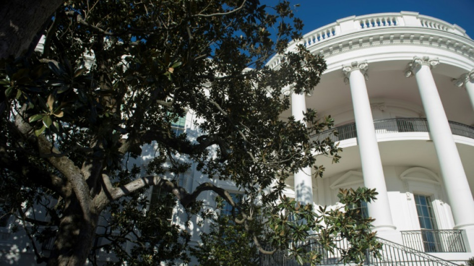 Sicherheitsrisiko: Trump will historischen Magnolienbaum vor Weißem Haus fällen lassen