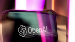 Websites go dark worldwide as AI exposes critical security flaws