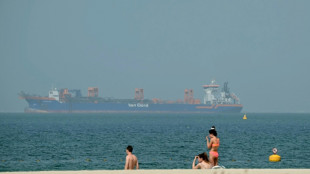 La guerra en Ir&aacute;n pone en peligro el petr&oacute;leo, pero tambi&eacute;n el comercio mundial