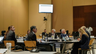 RFK Jr panel votes against ingredient targeted by anti-vaxxers