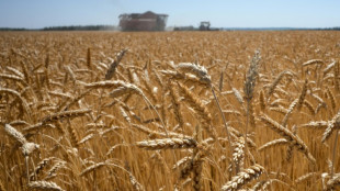 La Russie estime pouvoir exporter 50 millions de tonnes de céréales