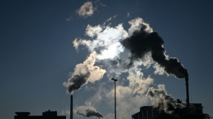 Gaz &agrave; effet de serre: comment sont d&eacute;clar&eacute;es (et v&eacute;rifi&eacute;es) les &eacute;missions des industriels europ&eacute;ens
