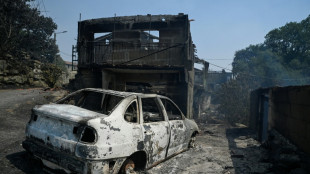 Waldbrände: Dritter Toter in Spanien - Griechische Feuerwehr dämmt Flammen ein