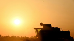 Agriculture: la loi Duplomb-Menonville entrevoit le bout du tunnel parlementaire, sans éteindre la controverse