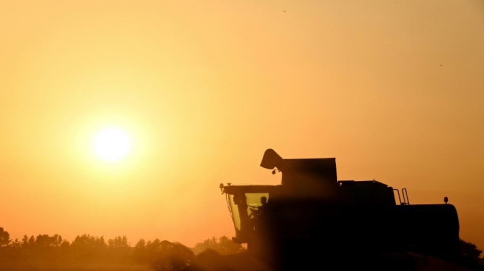 Agriculture: le Parlement adopte la loi Duplomb-Menonville et la r&eacute;introduction sous conditions d'un pesticide
