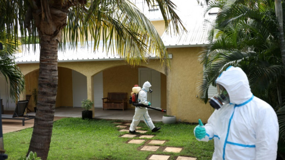 Chikungunya: le plan blanc déclenché à La Réunion, lancement de la vaccination lundi