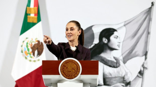 Mexico seeks 'preferential treatment' on US tariffs