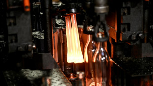 Pr&egrave;s de Cognac, la fili&egrave;re verre pose la premi&egrave;re brique de sa strat&eacute;gie de d&eacute;carbonation