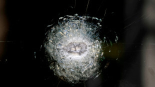 Cancelan la Copa Mundial de Clavados en Jalisco por seguridad; M&eacute;xico eval&uacute;a alternativas