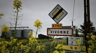 Le corps de la joggeuse disparue dans la Vienne retrouvé dans un sous-bois