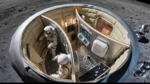 Dalla Calabria 'Oxygen' habitat modulare per permanenze sulla Luna