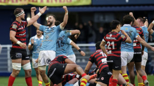 Toulouse stunned by Perpignan but stay top as Pau lose