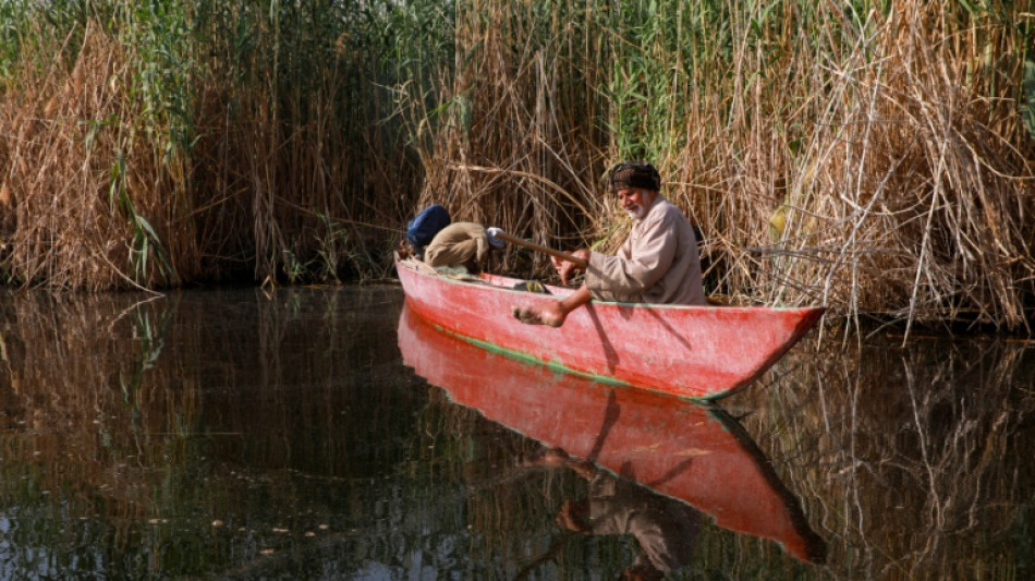 'Leave our marshes alone': Iraqis fear oil drilling would destroy fabled wetlands