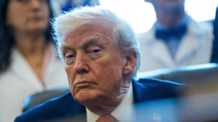 Trump annuncia, 'dazi Usa del 25% a chiunque commerci con l'Iran'