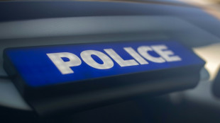 Grenoble: des tirs en l'air en plein march&eacute;