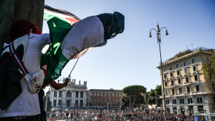 Organizzatori corteo pro-Pal, 'siamo un milione a Roma'