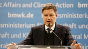 Habeck stellt Fr&uuml;hjahrsprojektion der Bundesregierung vor 