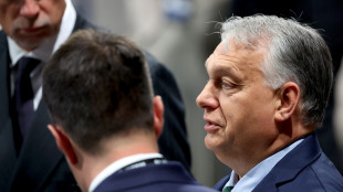 Molinari(Lega),non &egrave; negativo se Orban tratta su pace in Ucraina