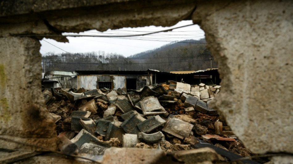 Chuva ajuda os bombeiros na Coreia do Sul após incêndios que deixaram 28 mortos