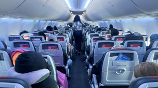 Record de passagers, rentabilit&eacute;: les compagnies a&eacute;riennes optimistes pour 2025