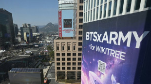 Les rois de la K-pop BTS enflamment S&eacute;oul avec un gigantesque concert de retour