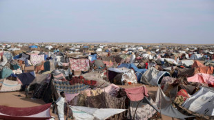 Sudan army-backed council to meet on US truce proposal: govt source