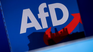 Brandenburger AfD zieht Eilantrag gegen Extremismus-Einstufung zur&uuml;ck